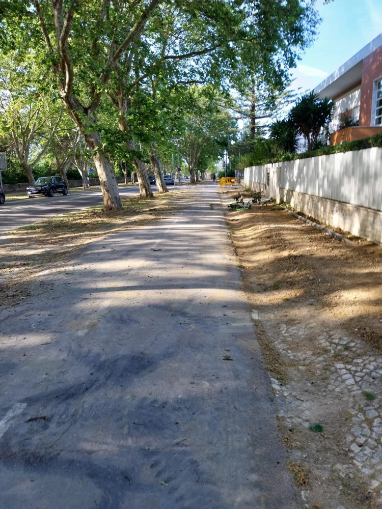 Remodelação e Ampliação da Rede de Abastecimento de Águas do Bairro do Junqueiro
